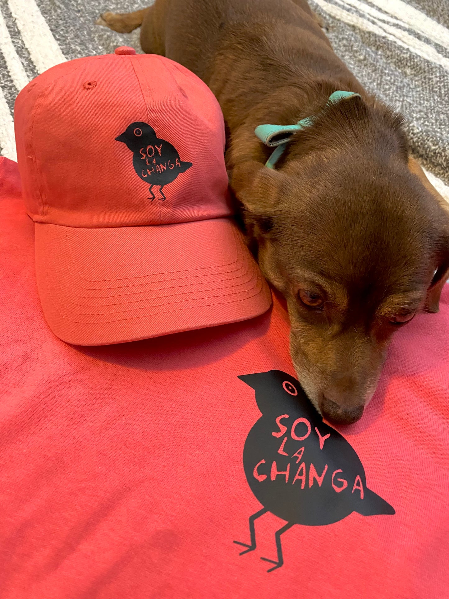 Soy la Changa